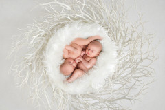 Newborn_Luxury_Photographer_Park_Slope_Lestudionyc