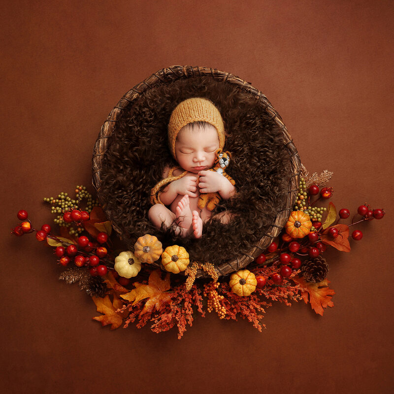 Adorable newborn baby wrapped in a soft blanket, surrounded by autumn leaves and seasonal props in a fall-themed photoshoot.