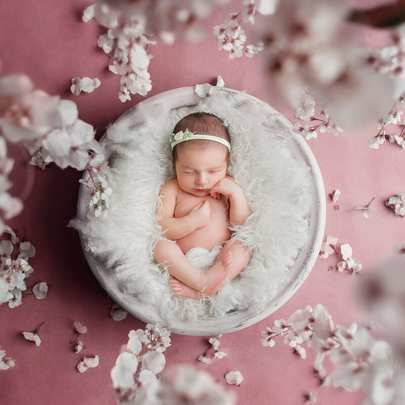 Expert Newborn Photography in Park Slope